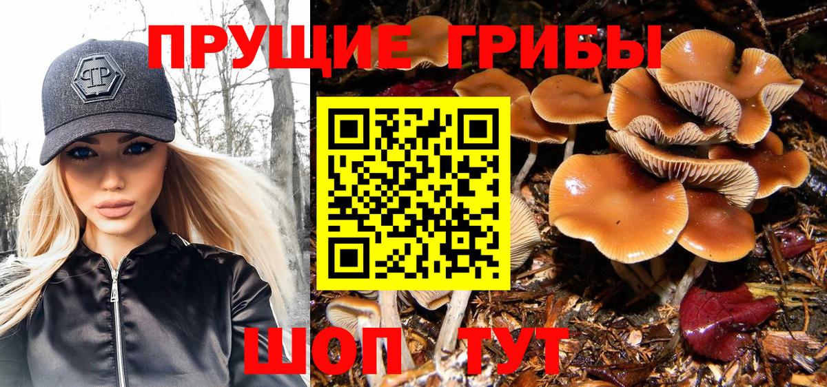 Новочеркасск  Псилоцибиновые грибы GOLDEN TEACHER  Вход с VPN 